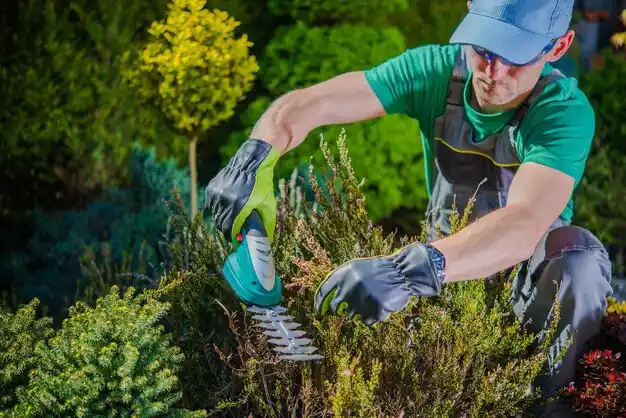 landscaping services Elyria